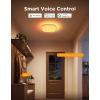 imageGovee Smart Ceiling Light RGBIC LED Square Ceiling Light Fixture Works with Matter 2400LM Flush Mount Light Fixture DIY Colors 2700K6500K Dimmable for Bedroom Living Room 12 Inch 1 Pack
