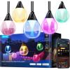 imageGovee Outdoor Clear Bulb String Lights 48ft RGBWIC Outdoor Lights with 15 Dimmable Warm White LED Bulbs 111 Scene Modes for Patio Backyard IP67 Waterproof Works with Alexa Google ampamp Matter96ft