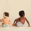 imageThe Honest Company Clean Conscious Diapers  PlantBased Sustainable  Limited Edition Prints  Club Box Size 6 35 lbs 40 CountAbove It All  Pandas