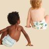 imageThe Honest Company Clean Conscious Diapers  PlantBased Sustainable  Limited Edition Prints  Club Box Size 6 35 lbs 40 CountTurtle Time  Dots  Dashes