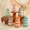 imageThe Honest Company Diaper Cake  Clean Conscious Diapers Baby Personal Care PlantBased Wipes  Turtle Time  Regular Size 1 814 lbs 35 CountPattern Play