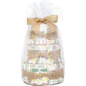 imageThe Honest Company Diaper Cake  Clean Conscious Diapers Baby Personal Care PlantBased Wipes  Turtle Time  Regular Size 1 814 lbs 35 CountBarnyard Babies