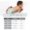 imageThe Honest Company Clean Conscious Overnight Diapers  PlantBased Sustainable  Sleepy Sheep  Club Box Size 6 35 lbs 42 CountSize 4