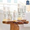 imageThe Honest Company 2in1 Cleansing Shampoo  Body Wash for Sensitive Skin  Gentle for Baby  Naturally Derived Tearfree Hypoallergenic  Fragrance Free 18 fl ozFragrance Free Sensitive