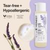 image:imageThe Honest Company Cleansing 2in1 Shampoo  Body Wash Gentle on Skin Dermatologist Tested Tear Free Hypoallergenic Disney and Pixars Toy Story Sensitive Fragrance FreeLavender Calm