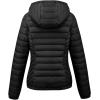 imageBellivera Womens Quilted Lightweight Jacket Puffer Coat Women Bubble for Spring and WinterBlack Short Coat