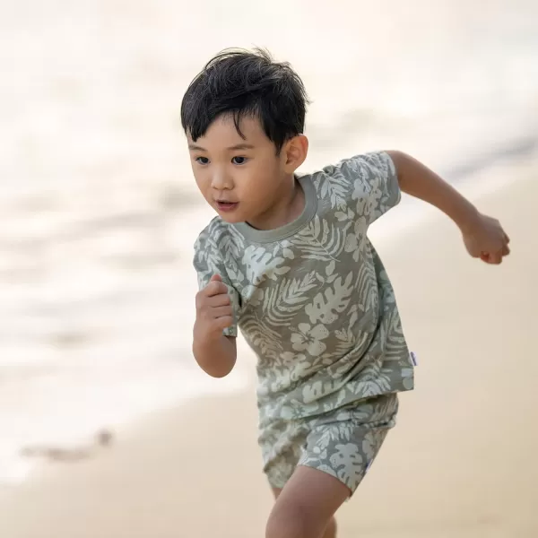 Gerber baby-boys T-shirt and Shorts Set