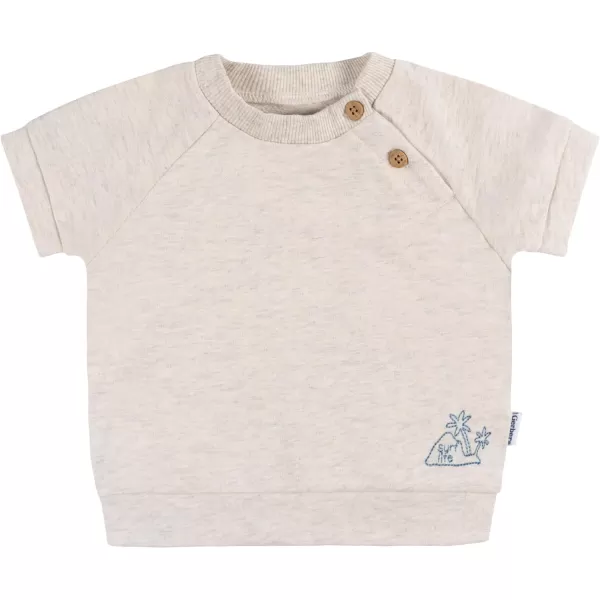 Gerber baby-boys T-shirt and Shorts Set