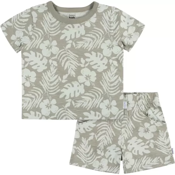 Gerber baby-boys T-shirt and Shorts Set