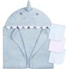 Blue Shark
