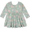 imageGerber babygirls Toddler 2pack Long Sleeve DressesVanilla  Green Floral