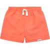 imageToddler ampamp Baby Boys Surf Swim Trunks 2Pack by GerberOrange Surf