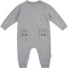 Grey Raccoon
