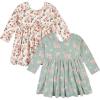 imageGerber babygirls Toddler 2pack Long Sleeve DressesVanilla  Green Floral
