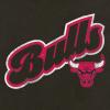 image:imageGerber NBA BabyGirls NBA Team Hooded DressChicago Bulls