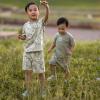 image:imageGerber Baby Boys Toddler Tshirt and Shorts SetTropical Leaves