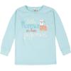 image:imageGerber Baby Girls 4Piece Cotton Pajama SetLittle Llama Pink