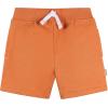 image:imageGerber babyboys Toddler Boys Shirt and Shorts SetRust