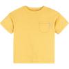 image:imageGerber babyboys Toddler Boys Shirt and Shorts SetRust