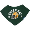 image:imageGerber Baby Nfl Team Bandana Bibs and Burp Cloth SetPackers