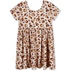 Spotted Leopard