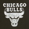image:imageGerber Baby NBA Boys amp Girls 2Pack Short Sleeve Onesie BodysuitsChicago Bulls