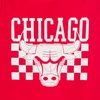 image:imageGerber Baby NBA Boys amp Girls 2Pack Short Sleeve Onesie BodysuitsChicago Bulls