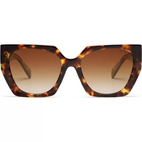 Brown Tortoise/Brown