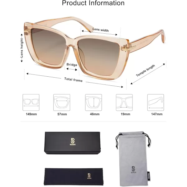 SOJOS Oversized Cat Eye Sunglasses Womens Retro Vintage 70s Trendy Stylish Shades SJ2231Clear BrownBrown