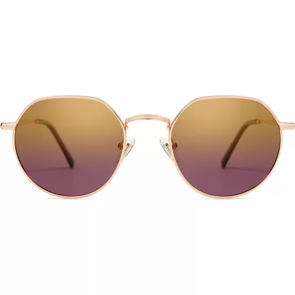 SOJOS Round Polygon Polarized Sunglasses for Women Men Retro Classic Vintage Shades SJ1157Bronze