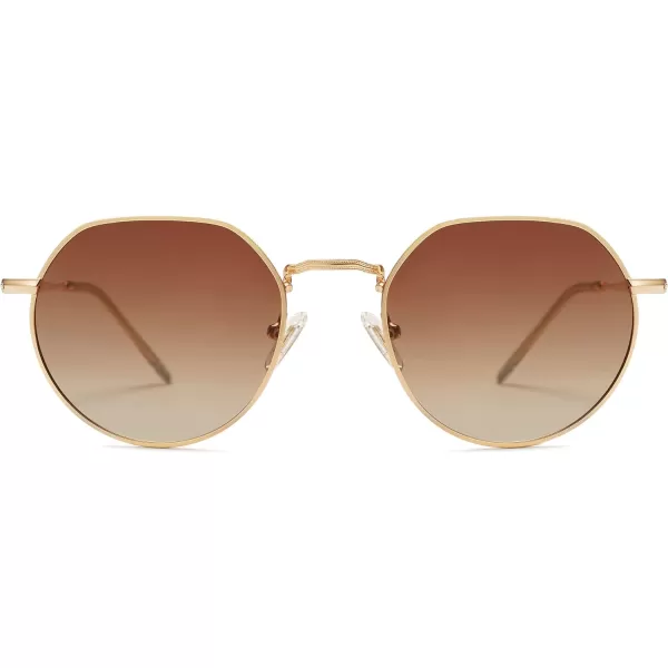SOJOS Round Polygon Polarized Sunglasses for Women Men Retro Classic Vintage Shades SJ1157Brown