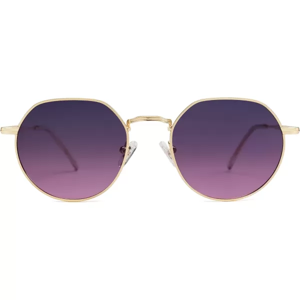 SOJOS Round Polygon Polarized Sunglasses for Women Men Retro Classic Vintage Shades SJ1157Violet