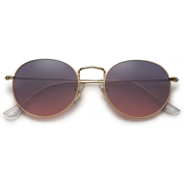 SOJOS Small Round Polarized Sunglasses for Women Men Classic Vintage Retro Shades UV400GoldGreyamppink