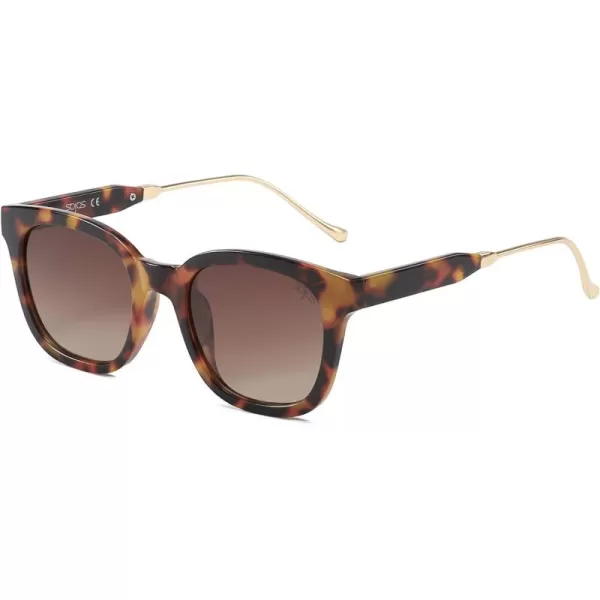 Amber Tortoise/Brown