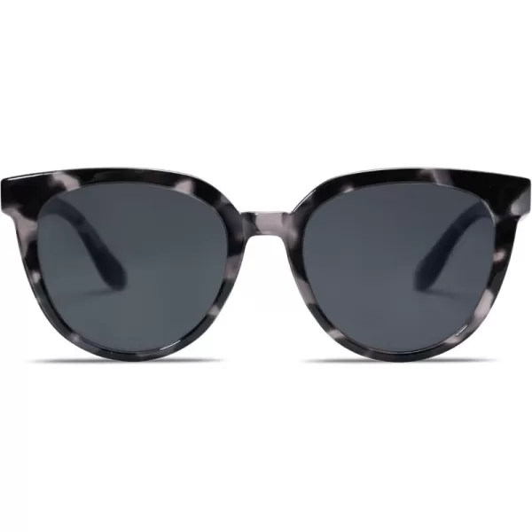 Grey Tortoise