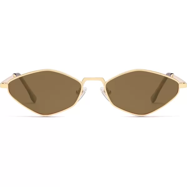 imageSOJOS Retro Small Polarized Sunglasses Womens Mens Vintage Narrow Irregular Shades UV400 SJ1233Shiny Gold  Brown Lens