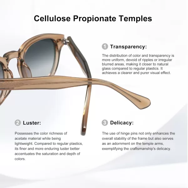 imageSOJOS Retro Small Round Sunglasses for Men Women Trendy Circle Style UV400 Lenses Unisex Sun Glasses SJ2251BrownBluishgrey