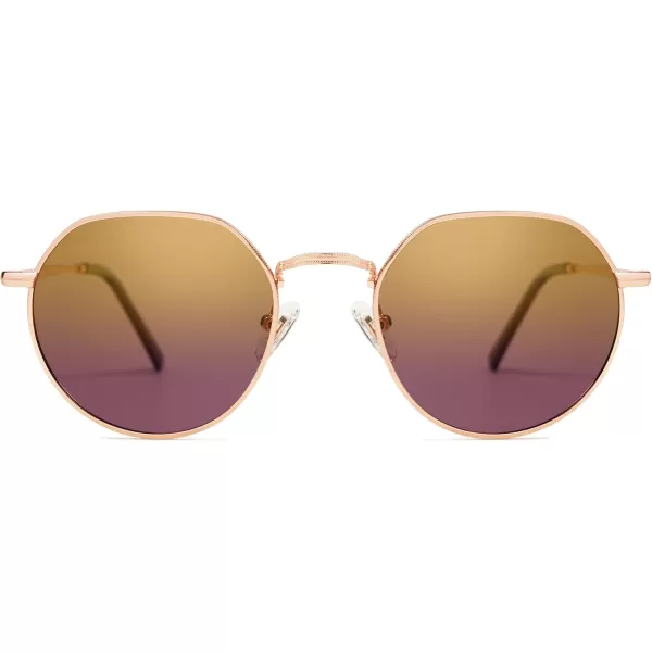 imageSOJOS Round Polygon Polarized Sunglasses for Women Men Retro Classic Vintage Panto Shades SJ1157Bronze