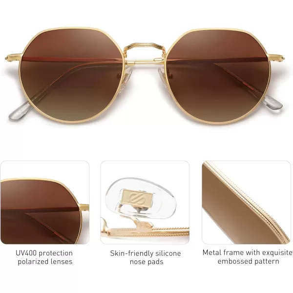 imageSOJOS Round Polygon Polarized Sunglasses for Women Men Retro Classic Vintage Panto Shades SJ1157Brown