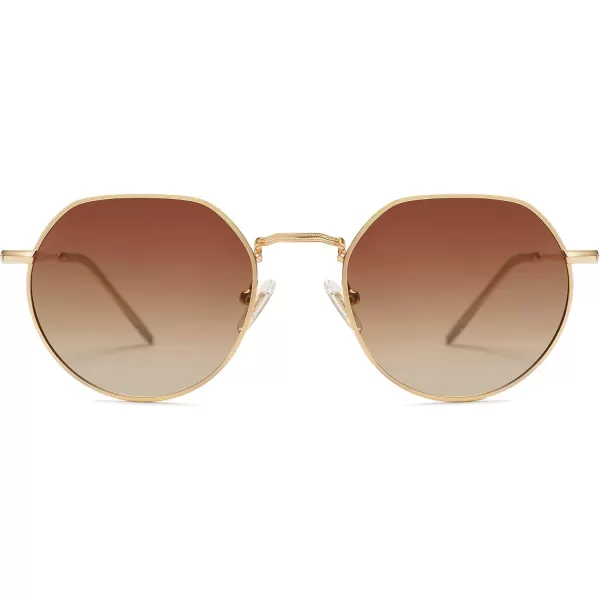 imageSOJOS Round Polygon Polarized Sunglasses for Women Men Retro Classic Vintage Panto Shades SJ1157Brown