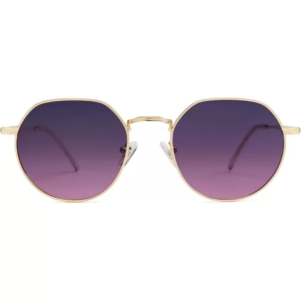 imageSOJOS Round Polygon Polarized Sunglasses for Women Men Retro Classic Vintage Panto Shades SJ1157Violet