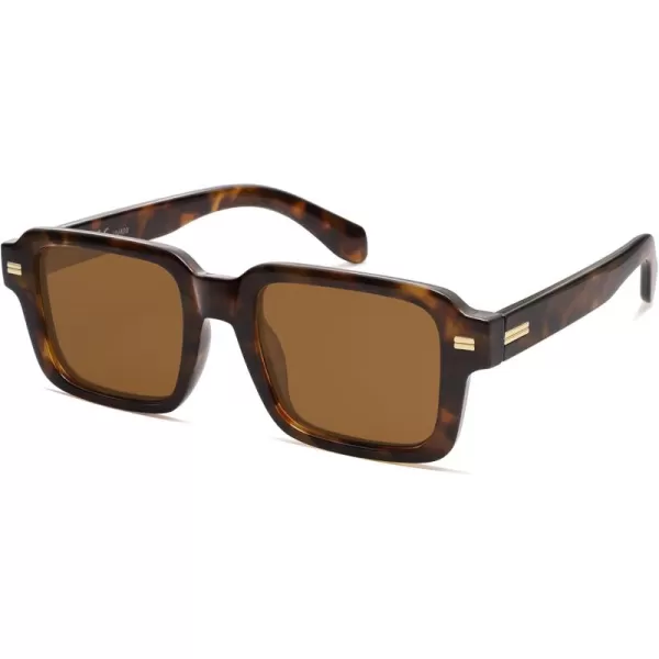 Brown Tortoise/Brown