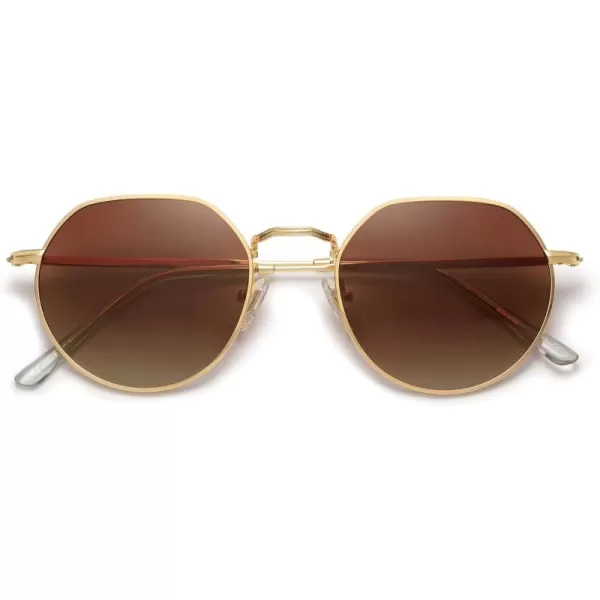imageSOJOS Round Polygon Polarized Sunglasses for Women Men Retro Classic Vintage Panto Shades SJ1157Brown