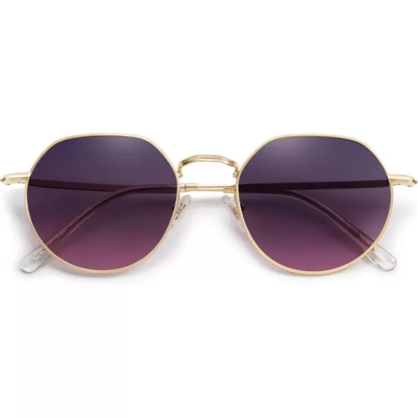 imageSOJOS Round Polygon Polarized Sunglasses for Women Men Retro Classic Vintage Panto Shades SJ1157Violet