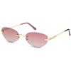 Shiny Gold / Pink Lens