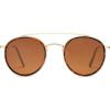 Tortoise/Brown