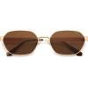imageSOJOS Trendy Polarized Hexagon Sunglasses for Women Men UV400 Retro Rectangle Shades SJ1238GoldBrown