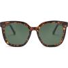 Green Tortoise/Green