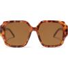 Brown Tortoise/Brown