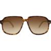 Brown Tortoise/Brown